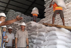 DPR RI Sriyanto Saputro Pastikan Lumbung Pangan Jateng Aman, Bulog Antisipasi El Nino