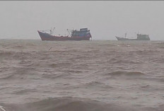 Kapal Nelayan Tertahan di Laut Akibat Pendangkalan Jalur Pelabuhan Pekalongan   