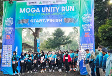 Moga Unity Run 2026 INSIP: Ratusan Pelari Meriahkan Kebun Teh Semugih Pemalang