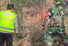 Kebakaran Hutan Perhutani di Buayan Kebumen, Dua Hektare Lahan Hangus