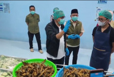 Sidak Dapur MBG di Cluwak Pati, Plt Bupati Temukan Lele Tulang dan Jeruk Busuk Lolos Sortir