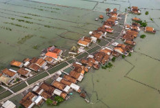 19 Perenang Taklukkan Selat Madura demi Warga Demak, Misi Selamatkan Timbulsloko dari Ancaman Rob