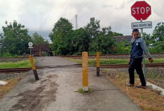 KA Harina Tabrak Motor di Perlintasan Brangsong Kendal, Ini Kata KAI