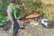 Truk Diduga Rem Blong Terguling di Gringsing Batang, Video Warga Ambil Muatan Viral