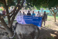 Aceh Belum Sepenuhnya Pulih, TBIG Salurkan Bantuan dan Kurban ke Daerah Terdampak