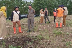 Hunian Sementara  Warga Desa Padasari Tegal Mulai Dimatangkan 