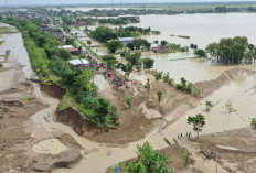 Tanggul Sungai Tuntang Jebol Lagi, Banjir Grobogan Rendam 42 Desa dan 1.850 Hektare Sawah