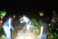 Kakek 82 Tahun Ditemukan Meninggal di Kebun Singkong di Pekalongan Usai Dua Hari Hilang