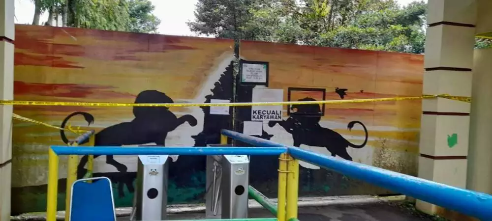 Kebun Binatang TRMS Serulingmas Ditutup Sementara, Polisi Selidiki Tewasnya Pawang Harimau